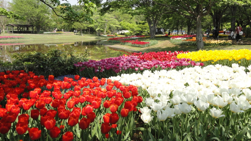 img0077.jpg