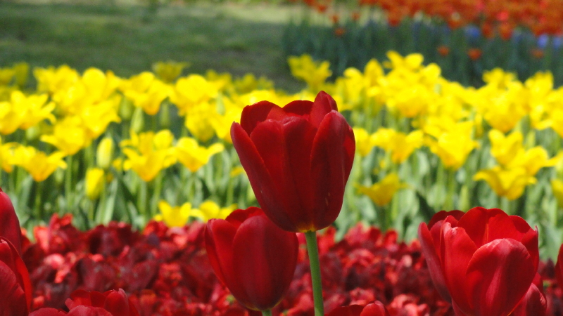 img0079.jpg