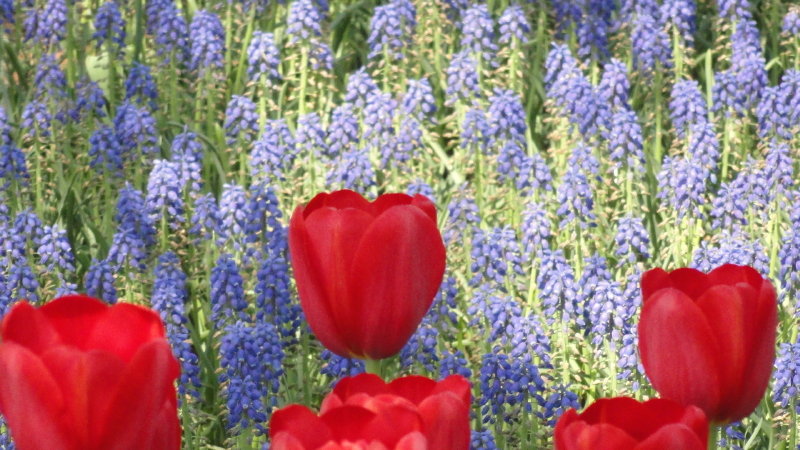img0080.jpg