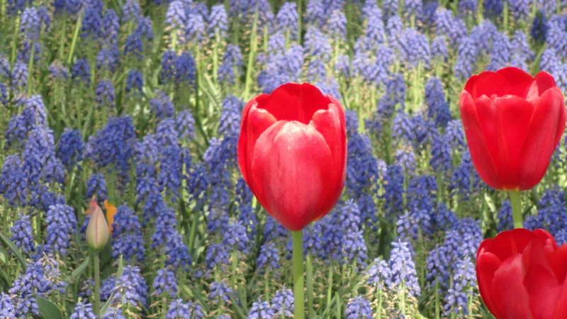 img0083.jpg