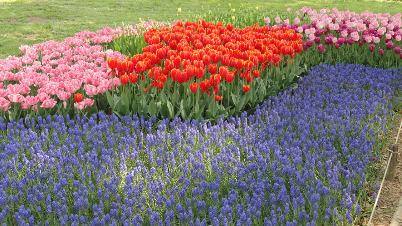 img0088.jpg