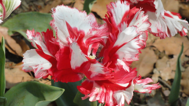 img0089.jpg