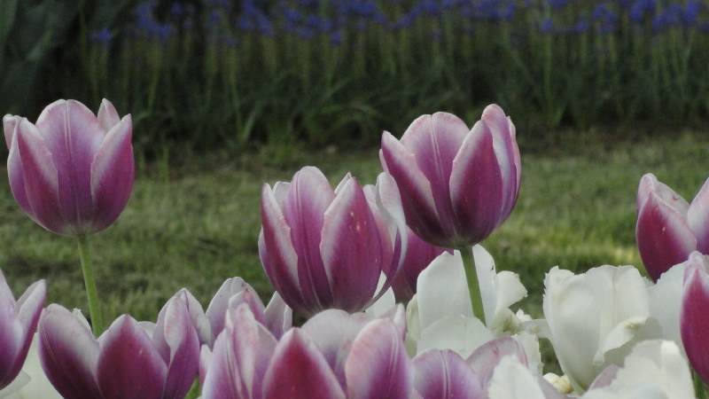 img0091.jpg