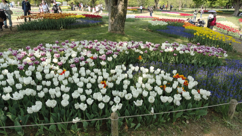 img0097.jpg