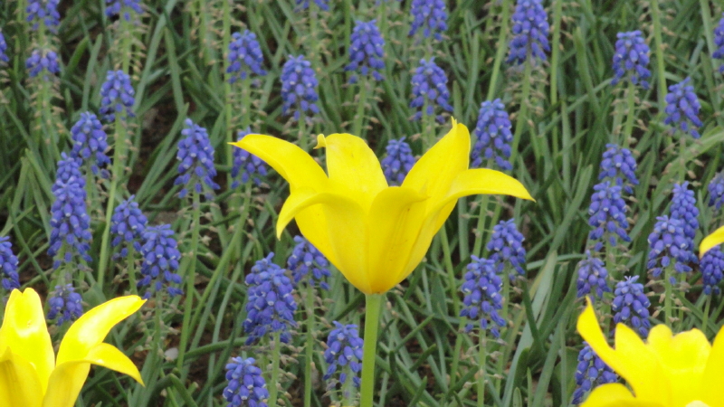 img0098.jpg