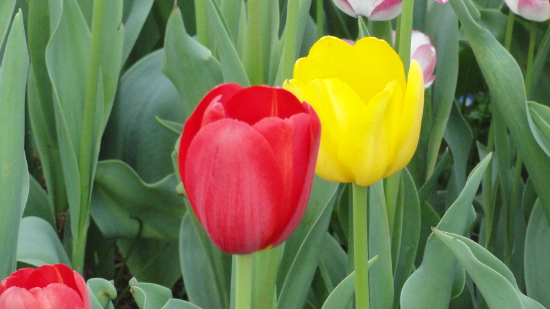 img0101.jpg
