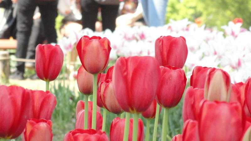 img0103.jpg