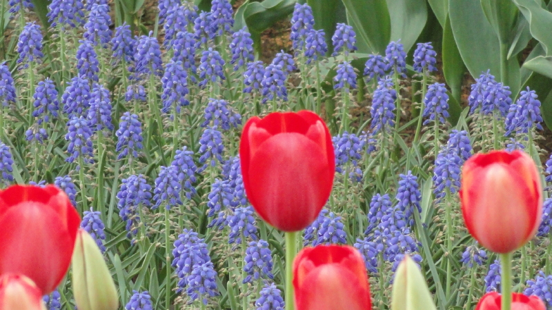 img0108.jpg