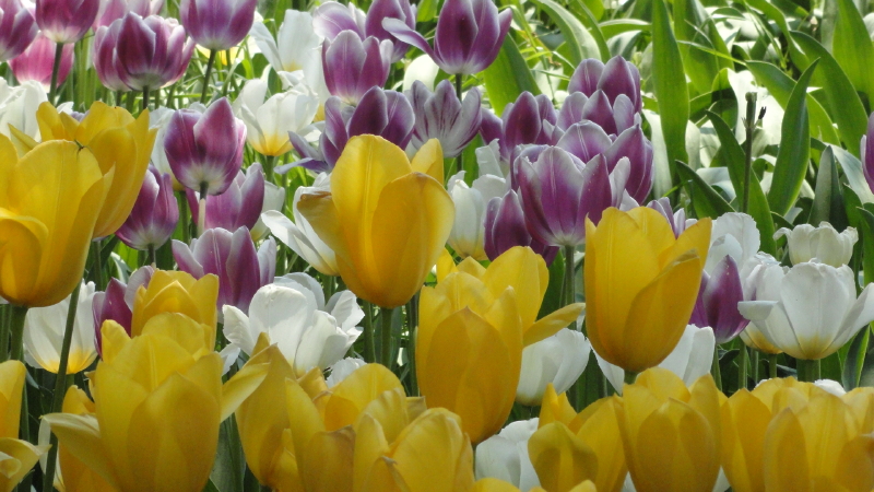 img0112.jpg