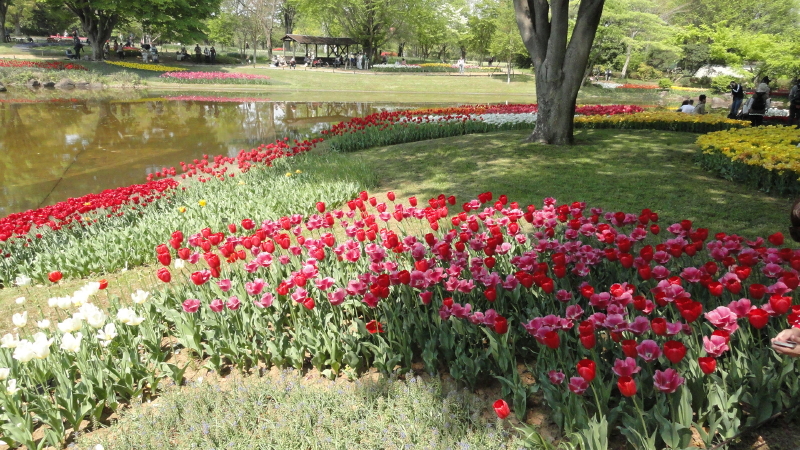 img0122.jpg