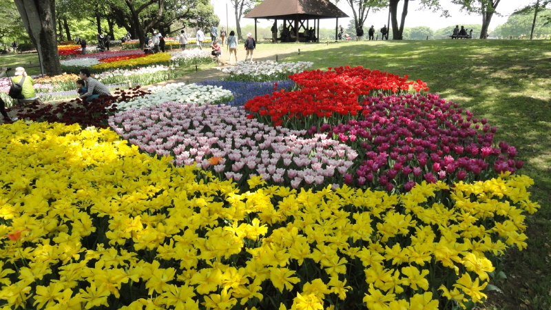 img0123.jpg