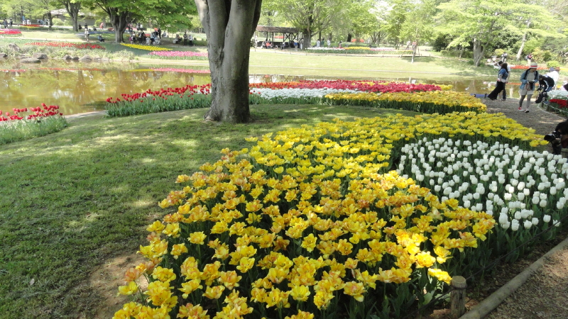 img0124.jpg
