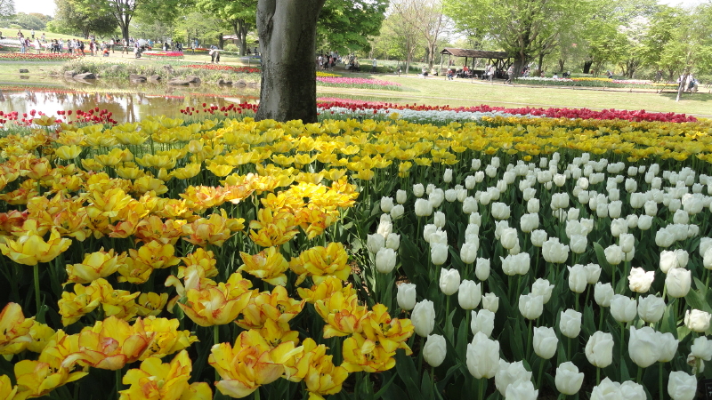 img0126.jpg