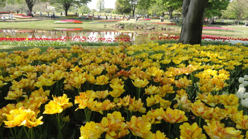 img0127.jpg
