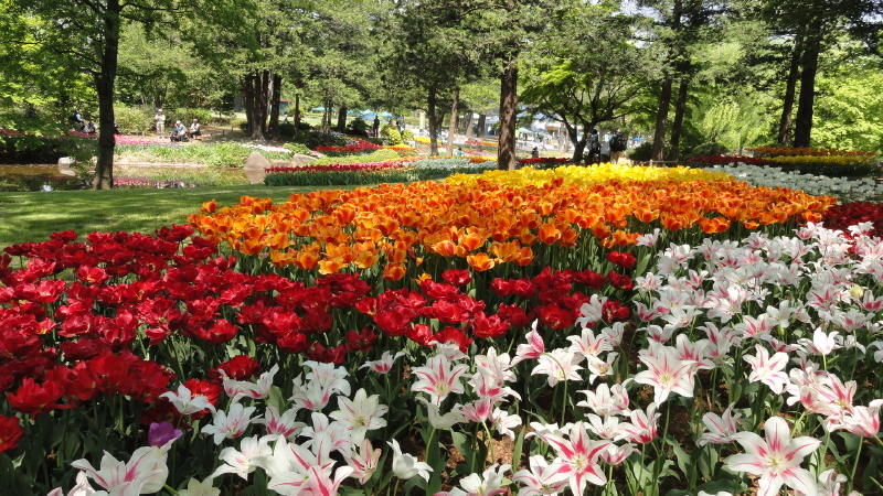 img0135.jpg
