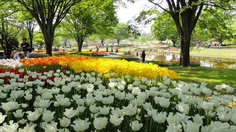 img0140.jpg