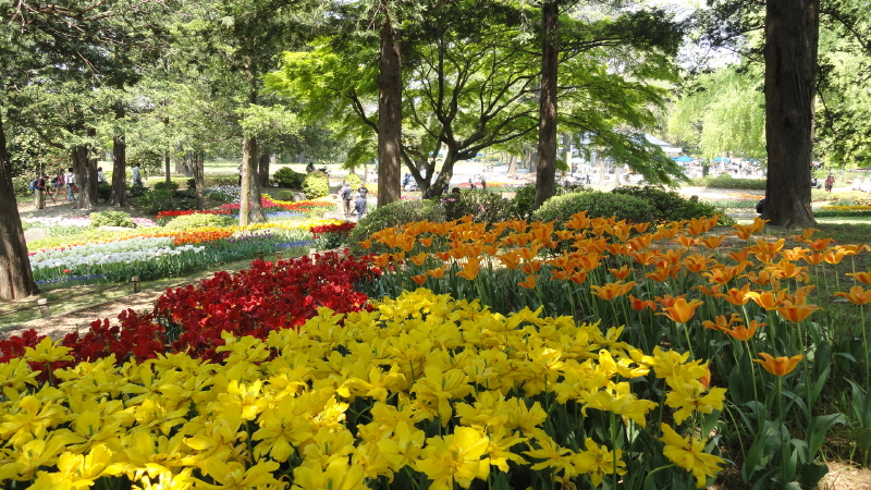img0142.jpg