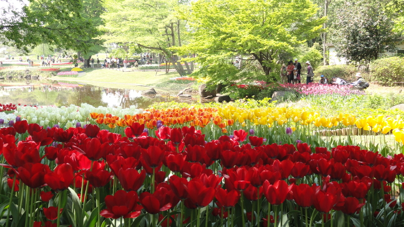 img0144.jpg