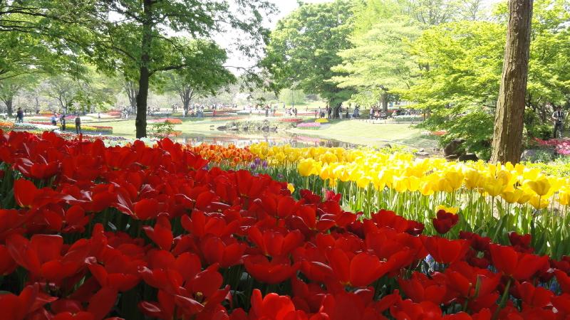 img0148.jpg