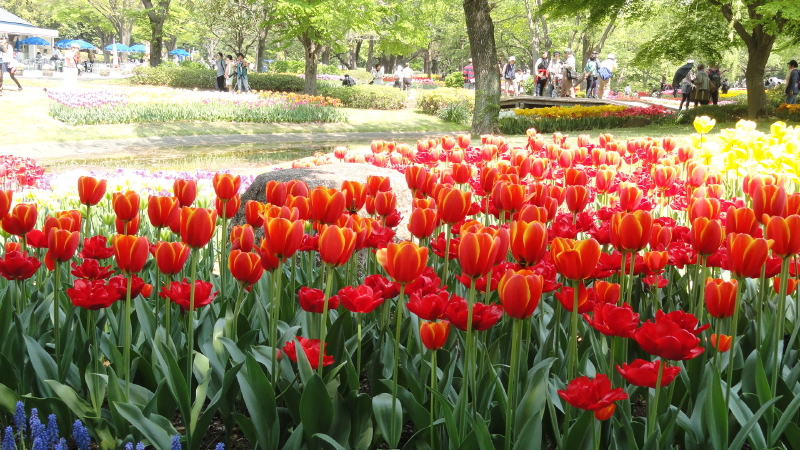 img0149.jpg