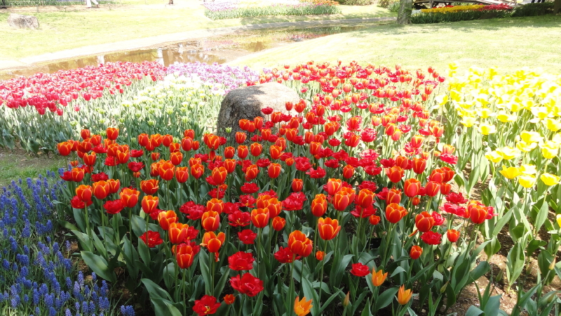 img0150.jpg