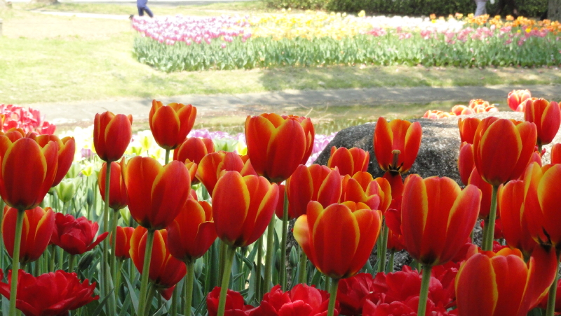 img0151.jpg