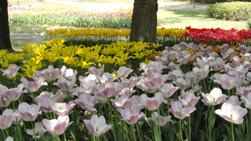 img0159.jpg
