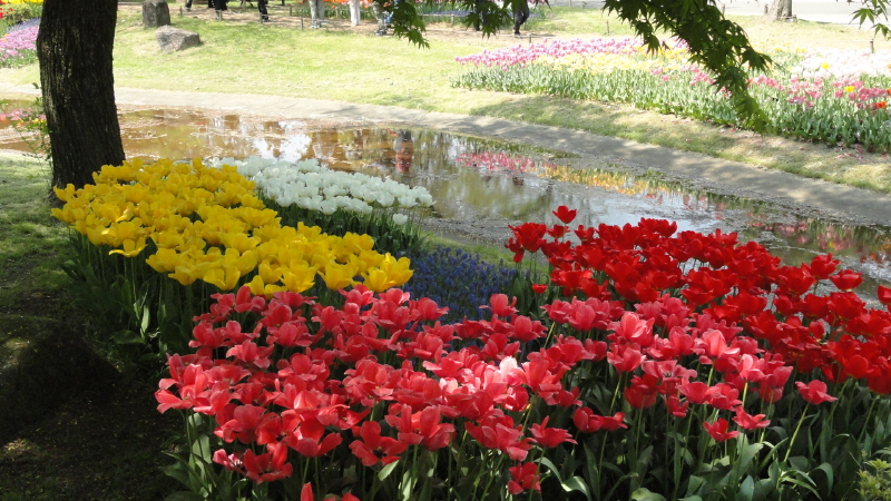 img0162.jpg