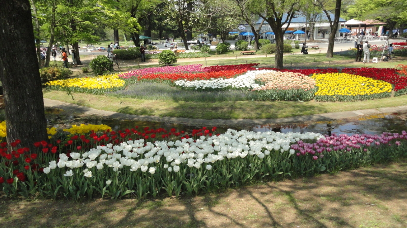 img0170.jpg