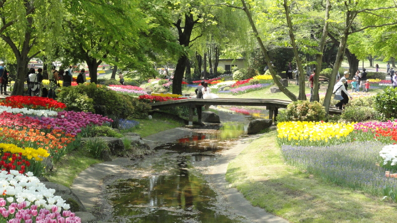img0173.jpg