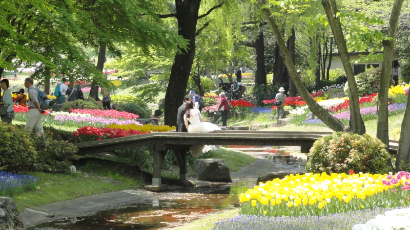 img0175.jpg
