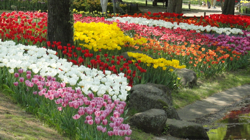 img0176.jpg