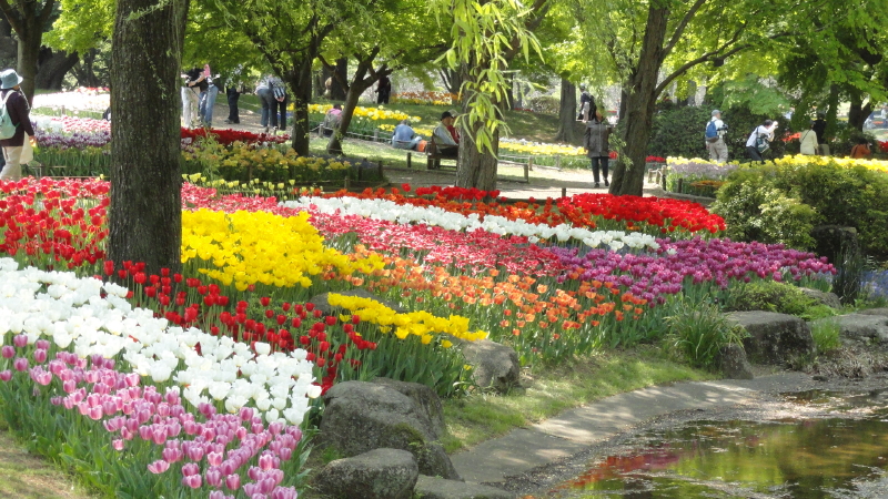 img0177.jpg