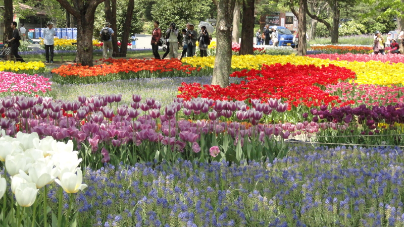 img0183.jpg