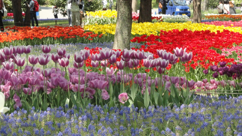 img0184.jpg