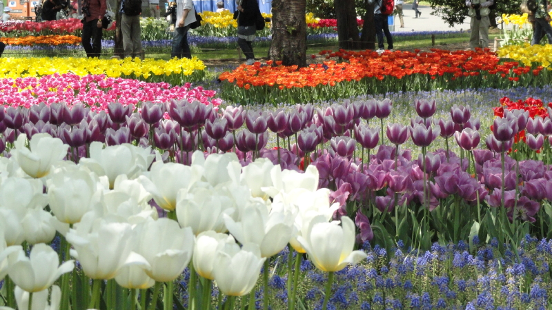 img0185.jpg