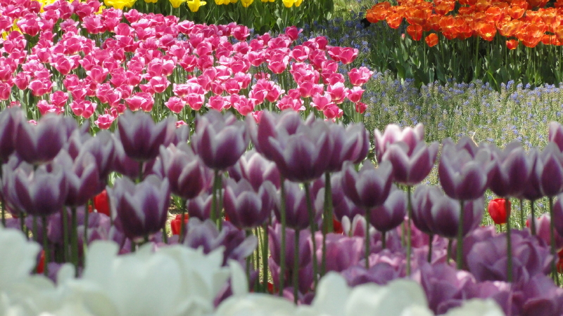 img0186.jpg