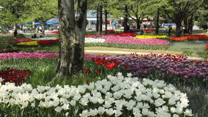 img0187.jpg