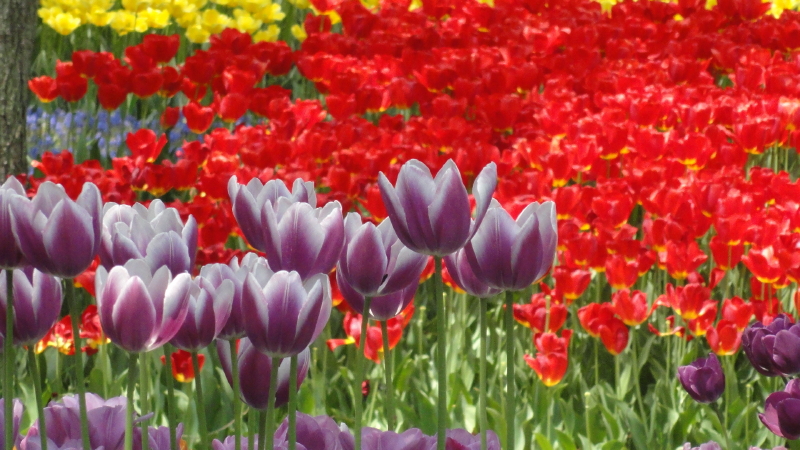 img0190.jpg