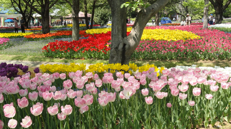 img0194.jpg