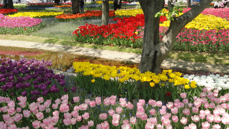 img0195.jpg