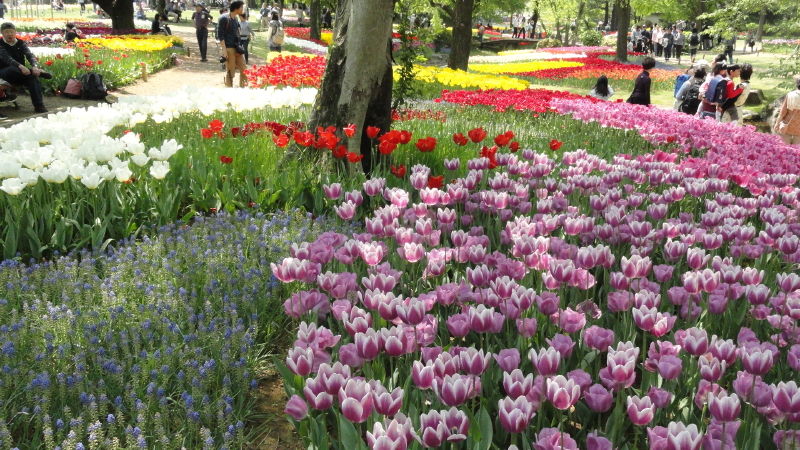 img0197.jpg