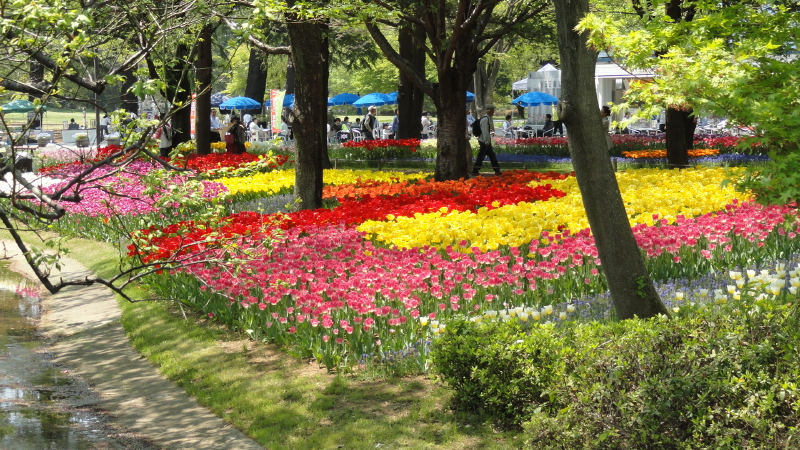 img0205.jpg