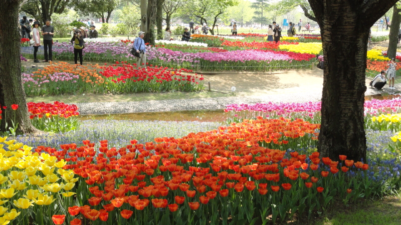 img0213.jpg
