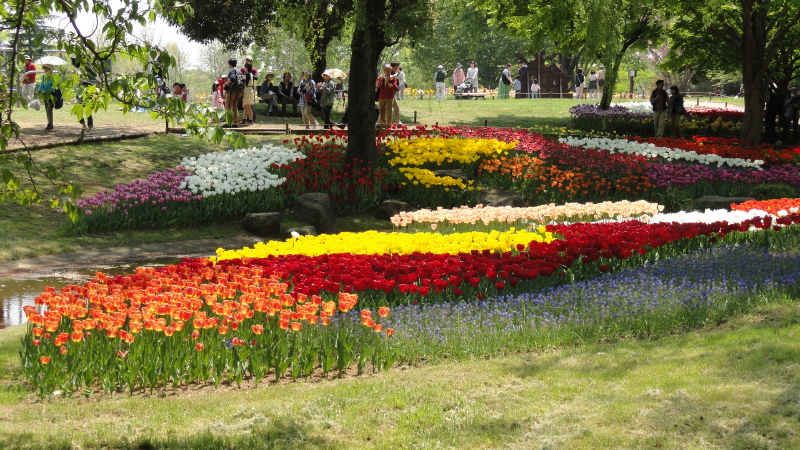 img0216.jpg