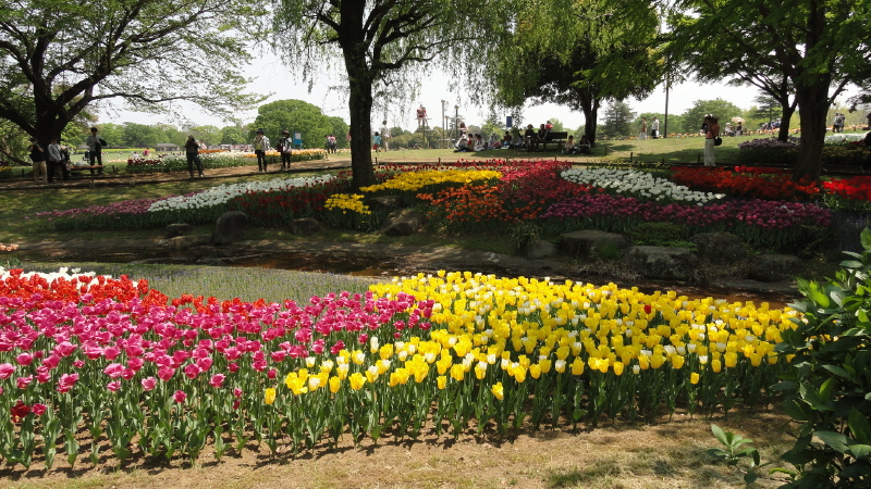 img0222.jpg