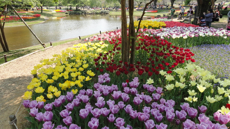 img0232.jpg
