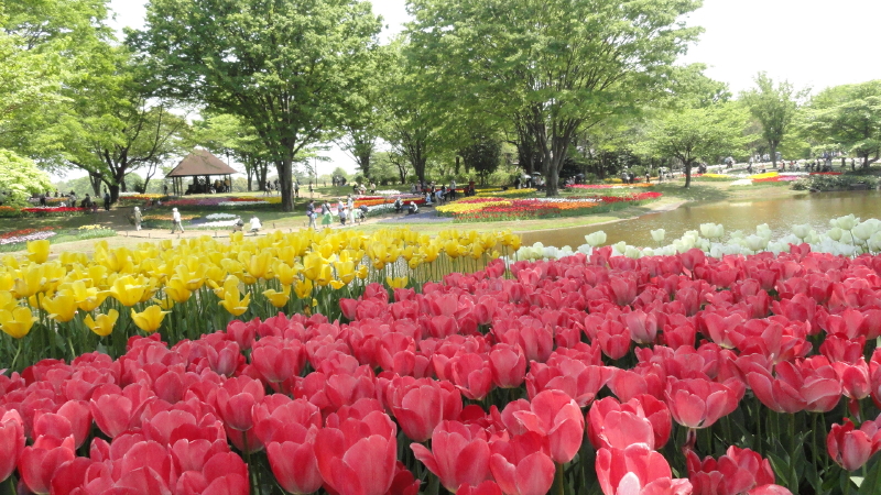 img0236.jpg