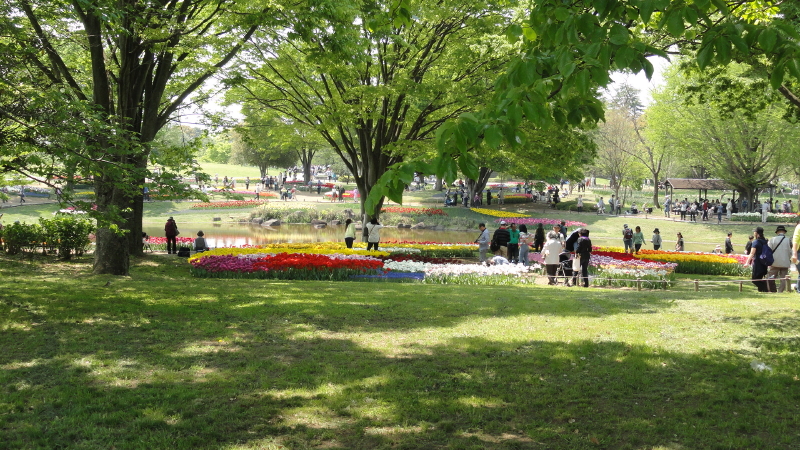 img0246.jpg