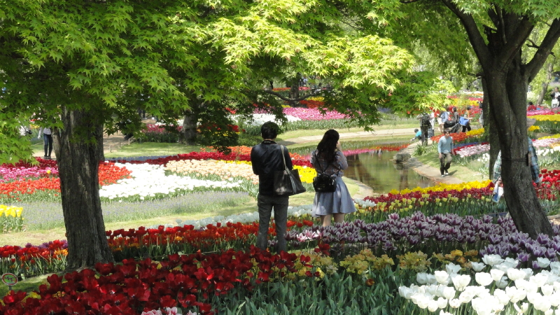 img0248.jpg